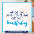 What No One Told Me About Breastfeeding - Everybody's Fed, Nobody's Dead | Blog