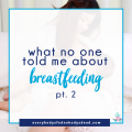 What No One Told Me About Breastfeeding, Part 2 - Everybody's Fed, Nobody's Dead Blog