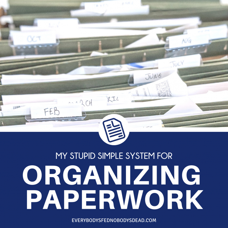 Tired of constantly organizing paperwork? Check out the simplest paperwork system for busy moms! This organization system only requires a few hours a year. Eliminate paper clutter in your home with this easy and cheap DIY paper system. Includes a step-by-step process for how to organize your papers, steps for how to reduce the papers that come into your house, resources for eliminating junk mail, and great products to help you keep your home organized. 